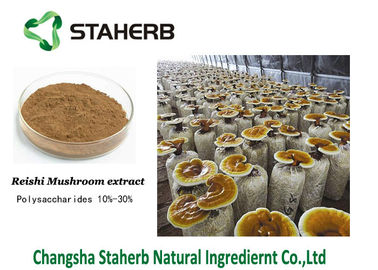 Porcellana Triterpene 1%-20% della polvere di Brown dell'estratto del fungo di Reishi di ganoderma lucidum fornitore
