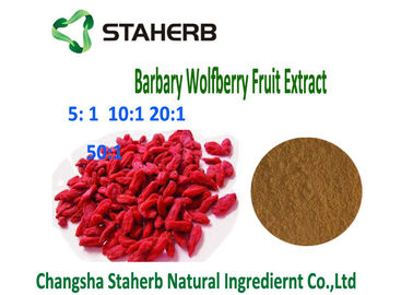 Porcellana Estratto naturale 4/1 della bacca di Barbary Wolfberry Goji 10/1 tumori anti- della polvere di Brown di rapporto fornitore