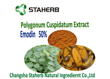 Porcellana Additivi alimentari Phytogenic dell'estratto della radice di Cuspidatum di poligono veterinari fornitore