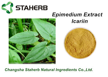Porcellana Polvere maschio di potenziamento dell'estratto Icariin10%-98% di epimedium della pianta da HPLC fornitore