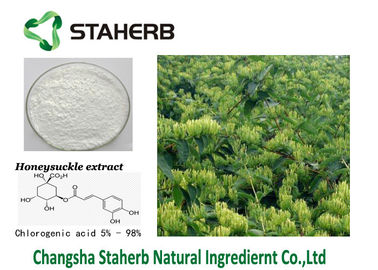 Porcellana L'estratto acido clorogenico del fiore di Honeysuchle dell'estratto di CAS 327-97-9 riduce il calore fornitore