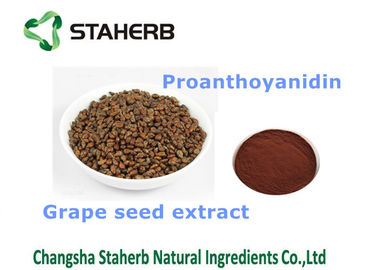 Porcellana Prodotti adatti di sanità dell'integratore alimentare antiossidante dell'estratto del seme dell'uva fornitore