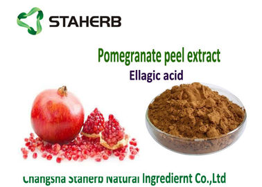 Porcellana Integratore alimentare antiossidante acido ellagico, supplementi naturali dell'antiossidante fornitore