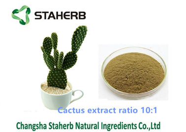 Porcellana Estrazione con solvente 10/1 di rapporto della polvere di perdita di peso dell'estratto del cactus per il campo cosmetico fornitore