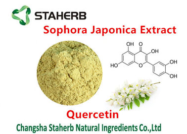 Porcellana Estratto di sophora japonica che estrae i prodotti chimici dalla quercetina 98% delle piante fornitore