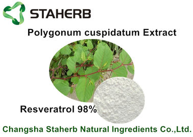 Porcellana Resveratroli estratto cosmetico crudo di Cuspidatum di poligono degli ingredienti di 98% - di 50% fornitore