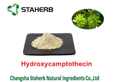 Porcellana La pianta naturale pura di Camptothecae Acuminatae estrae Hydroxycamptothecin 98% fornitore