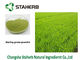 Estrazione seccata a spruzzo di colore verde di Gine della polvere del succo dell'erba di orzo dell'erba fornitore