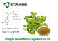 20283-92-5 estratto della melissa, Rosmarinic QS cascer antiossidante acido fornitore
