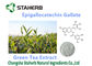 Antiossidanti organici/potenti completa il gallato 50-98% di Epigallocatechin fornitore