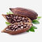 Cacao in polvere alcalinizzato disidratato estratto naturale del commestibile della polvere della frutta del cacao fornitore