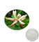 la pianta antimicrobica estrae il honokiol dell'estratto della corteccia della magnolia per i supplementi sani fornitore