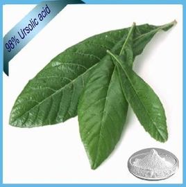 Porcellana Solubilità acida bianca dell'etanolo dell'estratto 25%-98% Ursolic della foglia del Loquat della polvere buona fornitore