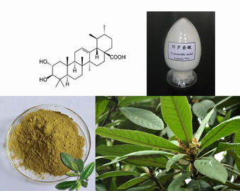 Porcellana Peso della foglia di Banaba che perde l'acido 1%-98% di Corosolic dell'estratto di Speciosa di Lagerstroemia delle materie prime fornitore