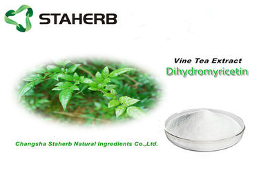 Porcellana La pianta naturale pura delle foglie di tè della vite estrae Dihydromyricetin 98% CAS 27200-12-0 fornitore