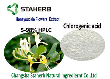 Porcellana Ingredienti cosmetici naturali organici, acido clorogenico 5-98% CAS dell'estratto del fiore del caprifoglio 327 97 9 fornitore