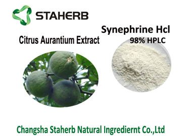 Porcellana Estratto di citrus aurantium di 98% Synephrine, HCl amaro dell'estratto della scorza d'arancia solubile in acqua fornitore