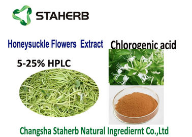 Porcellana Estratto acido clorogenico anti 50-90%HPLC infiammatorio CAS della pianta naturale 327 97 9 fornitore