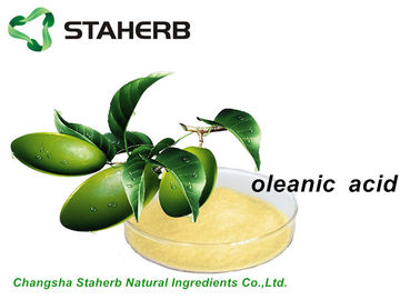 Porcellana Estratto antibatterico anti- Oleanic CAS acido 508 dell'olea degli estratti della pianta di Inflammmatory 02 1 fornitore