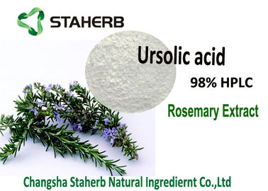 Porcellana Acido 5-90% dell'acido 50-98% Carnosic di Rosmarinic della polvere dell'estratto dei rosmarini dell'acido 25-98% di Ursolic fornitore