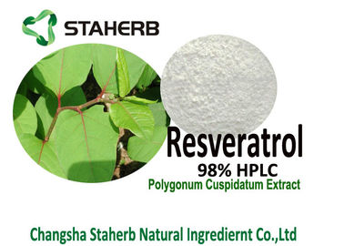 Porcellana Polvere dell'estratto della radice di Cuspidatum di poligono di HPLC di resveratroli 98% per prolungamento della vita fornitore