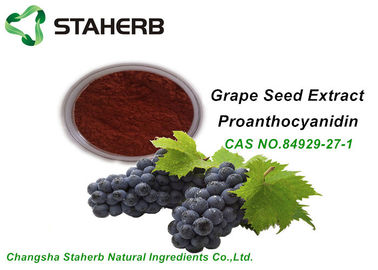 Porcellana Cemento Portland comune organico 95% CAS 84929 dell'estratto del seme dell'uva degli ingredienti di trucco dell'anti ossidante 27 1 fornitore