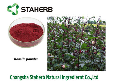Porcellana Gli estratti naturali puri della pianta della polvere di rosella, l'estratto di hibiscus sabdariffa contengono gli antociani Schisandrins fornitore