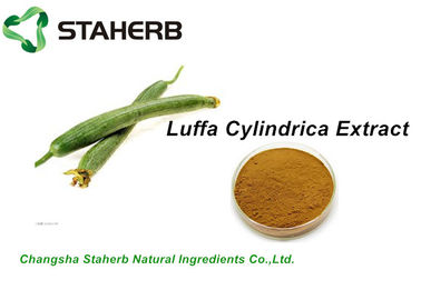 Porcellana Ingredienti cosmetici naturali dell'erba, 10:1 dell'estratto di luffa cylindrica delle materie prime dei cosmetici fornitore