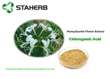 Porcellana Acido clorogenico della pianta degli estratti del caprifoglio dell'estratto antibatterico antinfiammatorio del fiore fornitore