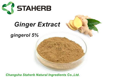 Porcellana Gingerol antibatterico 5%-95% dell'estratto dello zenzero dell'estratto della pianta da HPLC fornitore