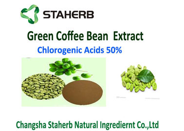 La Cina L'acido clorogenico 50% dell'ossidante di verde di caffè dell'estratto anti- antibatterico del chicco ha perso il peso fornitore