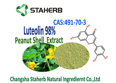 Porcellana Estratto della luteolina 98% dall'estratto di erbe della pianta della polvere 491-70-3 dell'estratto delle arachidi fornitore