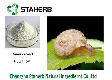La Cina Polvere cosmetica naturale di bianco delle materie prime dell'estratto della lumaca della proteina 60% fornitore