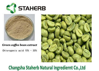 Porcellana L'acido clorogenico, pesa l'estratto verde perdente CAS del chicco di caffè NESSUN 327-97-9 fornitore
