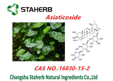 Porcellana L'estratto asiatica di Centella/pianta naturale pura estrae la polvere di Asiaticosides fornitore