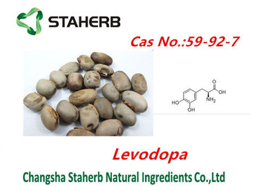 Porcellana Polvere concentrata cas no.59-92-7 di Levodopa dell'estratto di mucuna pruriens della pianta fornitore