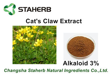 Porcellana Alcaloidi 3% - 5% dell'estratto dell'artiglio del gatto antibatterico dell'estratto di erbe per il Pharma fornitore