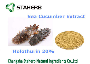 La Cina Ingredienti cosmetici naturali Holothurin 20% dell'estratto dell'oloturia per il cosmetico fornitore