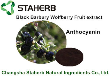 Porcellana Estratto nero della frutta di Barbary Wolfberry, ingredienti alimentari naturali per la bevanda fornitore