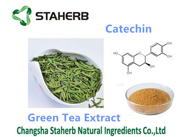 Porcellana Polvere antiossidante della catechina 50-98% dell'integratore alimentare dell'estratto del tè verde fornitore