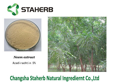 Porcellana Estratto della pianta concentrato azadiractina, polvere dell'estratto della pianta verde di Neem fornitore