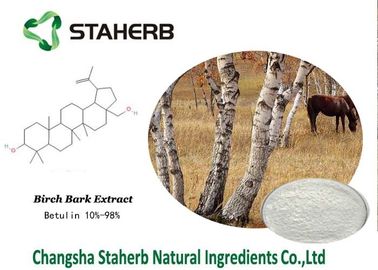 La Cina Ingredienti organici di trucco dell'estratto della corteccia di betulla, ingredienti naturali di bellezza fornitore