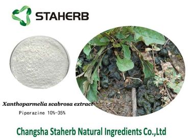Porcellana Polvere di erbe CAS antitumorale 110-85-0 dell'estratto di Xanthoparmelia Scarbrosa della piperazina fornitore