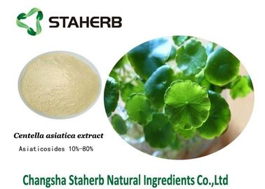La Cina Ingredienti cosmetici naturali dell'estratto della cola di Gotu, ingredienti organici di cura di pelle fornitore