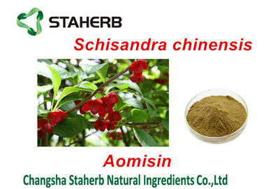 Porcellana Estratti antibatterici della pianta della magnolia della frutta cinese della vite, polvere di erbe dell'estratto fornitore