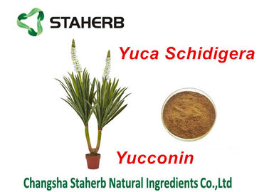 Porcellana Polvere naturale dell'yucca di Yocoin degli additivi alimentari dell'estratto di Schidigera dell'yucca fornitore