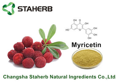 Porcellana La pianta naturale pura della corteccia del Bayberry estrae la miricetina 98% per il prodotto di salute da HPLC fornitore