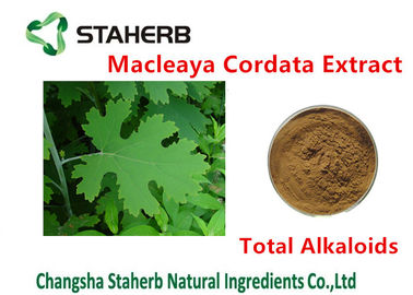 Porcellana Colore antibatterico degli alcaloidi 20%-60% Brown di totale dell'estratto di Cordata del Macleaya della pianta fornitore