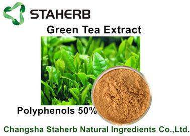 Porcellana Polifenoli naturali dell'estratto del tè verde degli estratti della pianta della polvere di Brown giallo 50% da HPLC fornitore