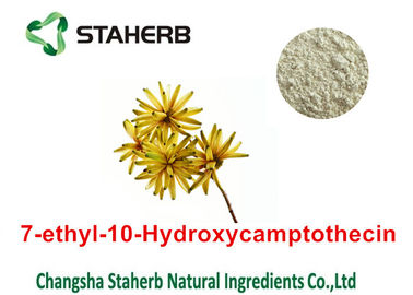 Porcellana Nessuna pianta naturale pura 86639-52-3 di Cas estrae 7 - etile - 10 - polvere di Hydroxycamptothecin fornitore